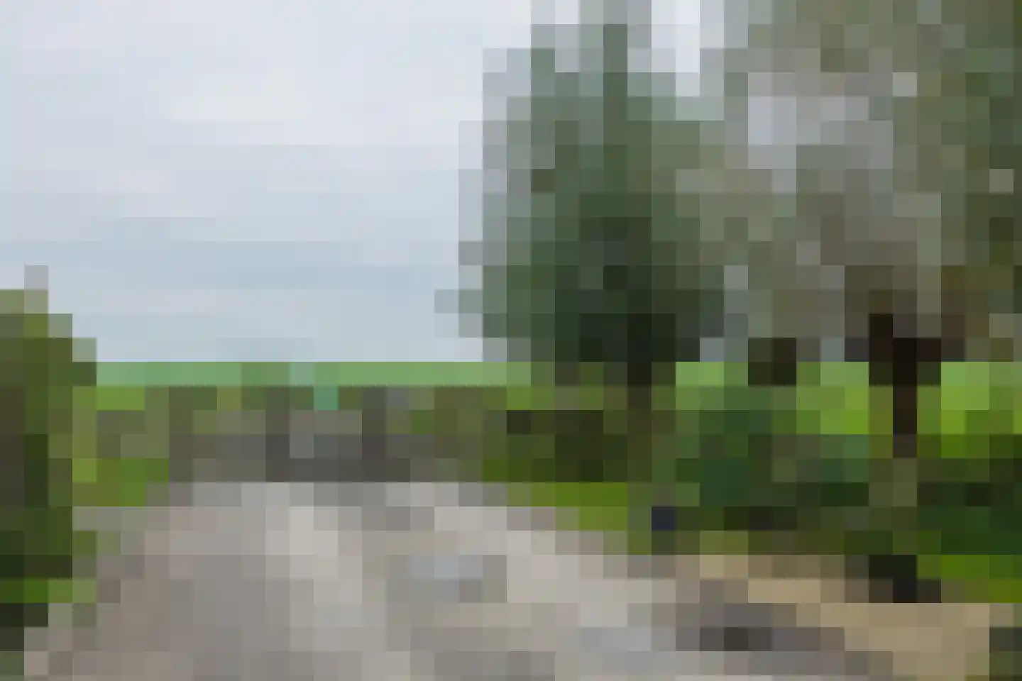 Woudevoirt 33 Zoeterwoude thumbnail 20