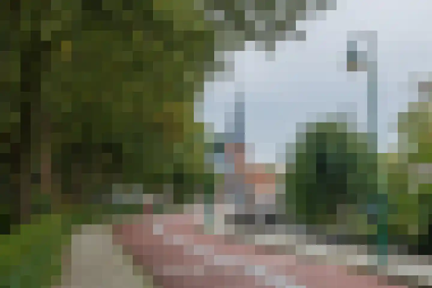 Woudevoirt 33 Zoeterwoude thumbnail 21