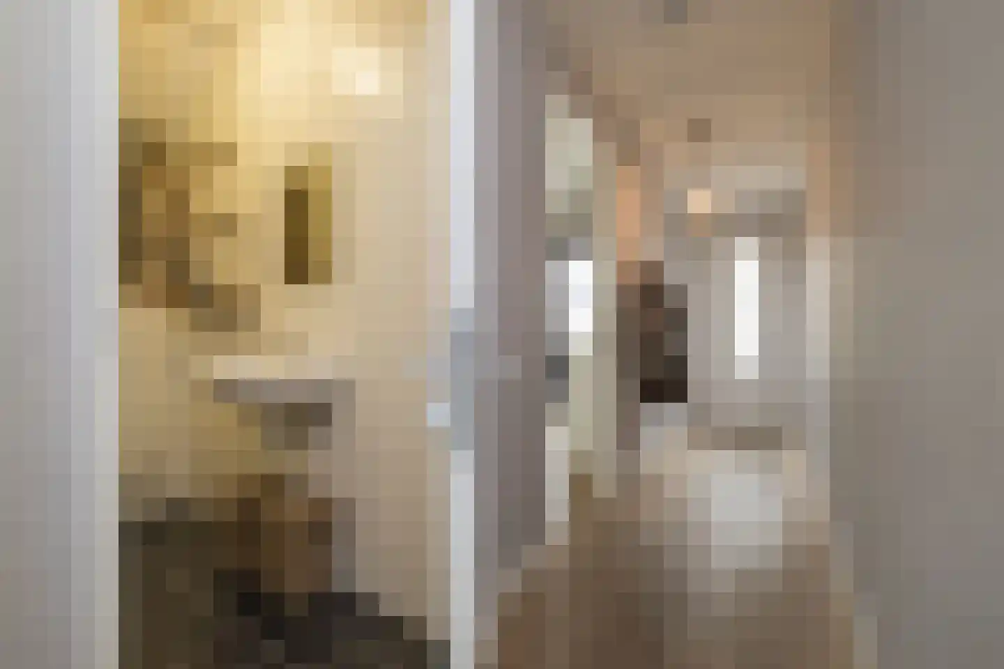 Woudevoirt 33 Zoeterwoude thumbnail 23