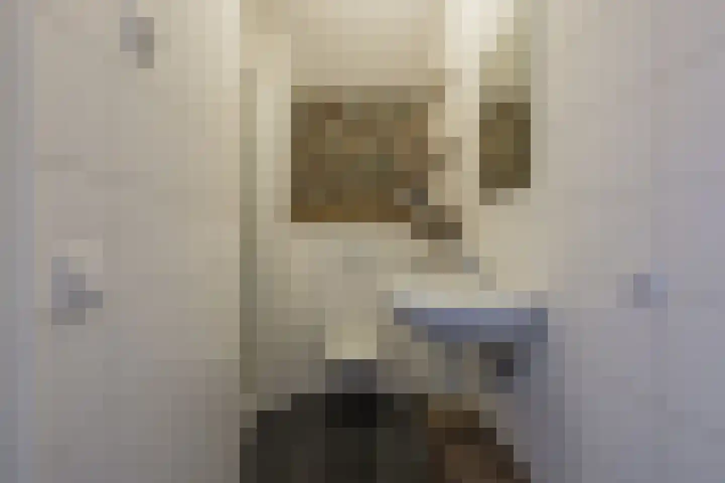 Woudevoirt 33 Zoeterwoude thumbnail 24