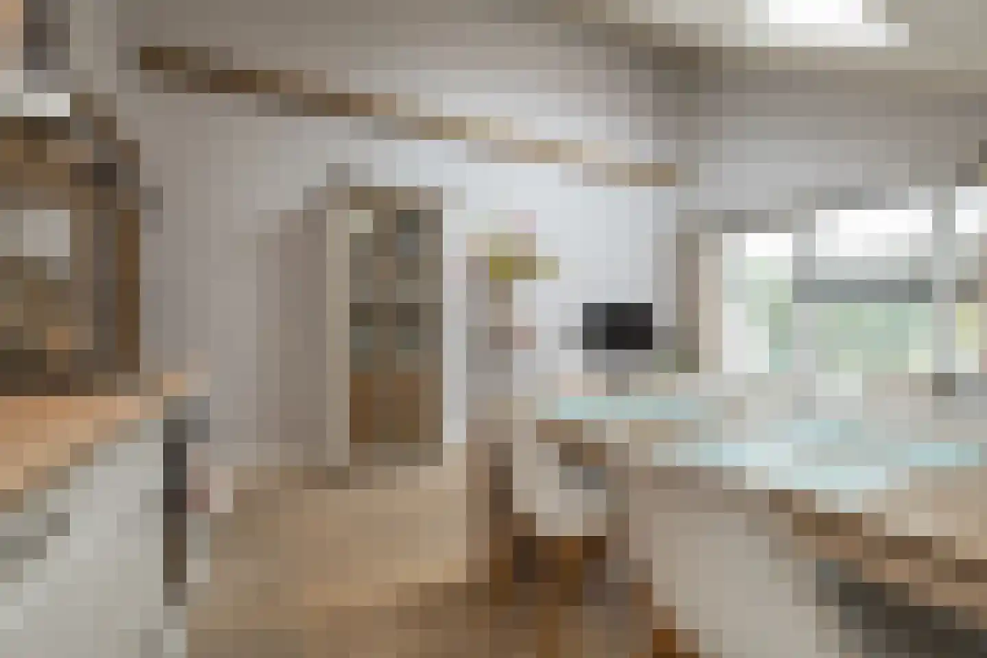 Woudevoirt 33 Zoeterwoude thumbnail 26