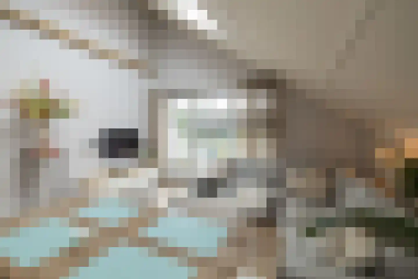 Woudevoirt 33 Zoeterwoude thumbnail 27