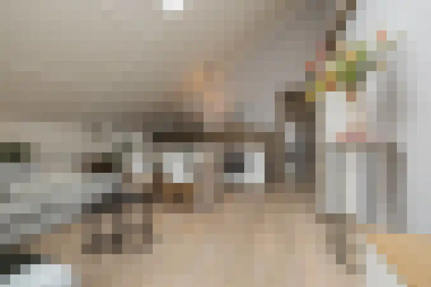 Woudevoirt 33 Zoeterwoude thumbnail 28