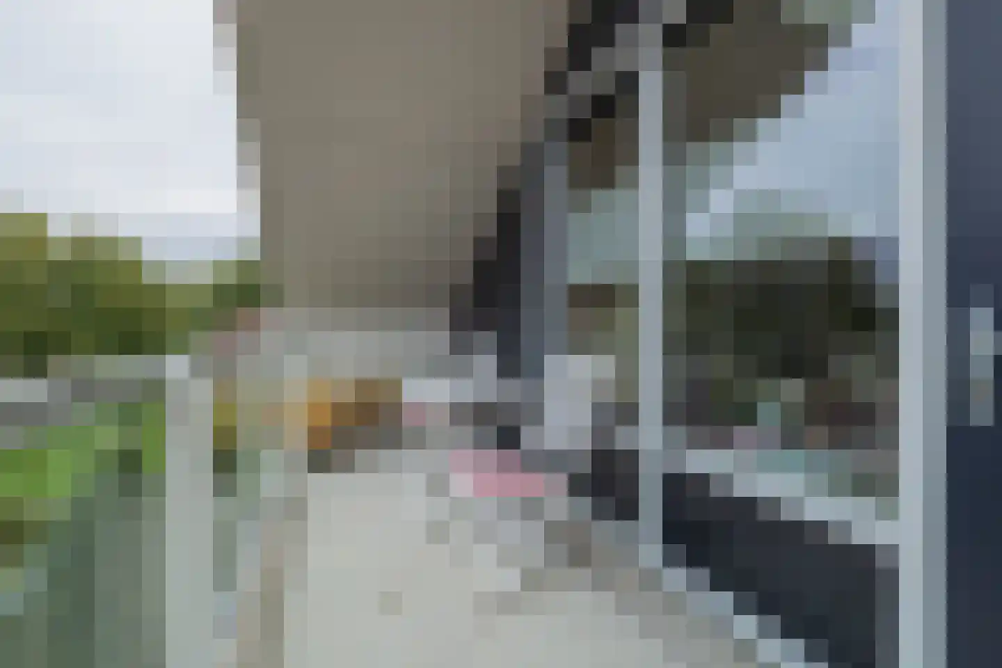 Woudevoirt 33 Zoeterwoude thumbnail 30