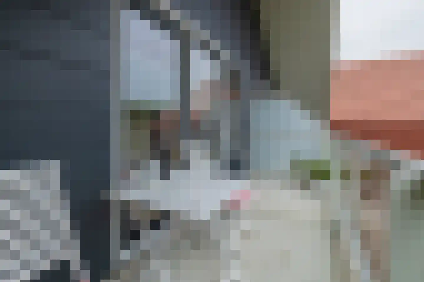 Woudevoirt 33 Zoeterwoude thumbnail 31