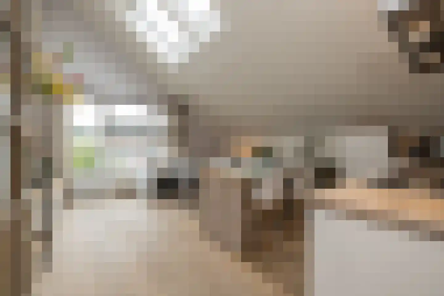 Woudevoirt 33 Zoeterwoude thumbnail 5