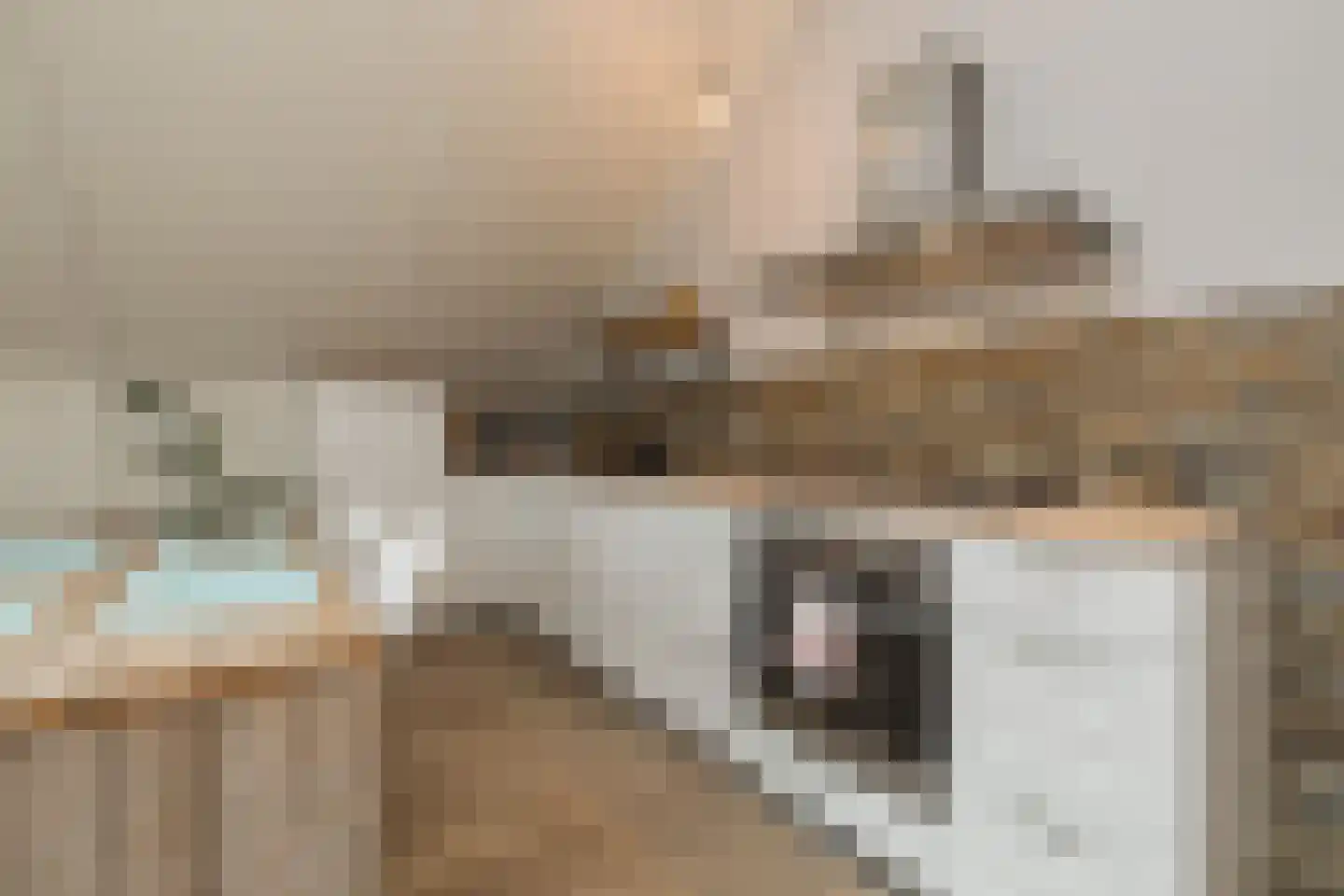 Woudevoirt 33 Zoeterwoude thumbnail 6
