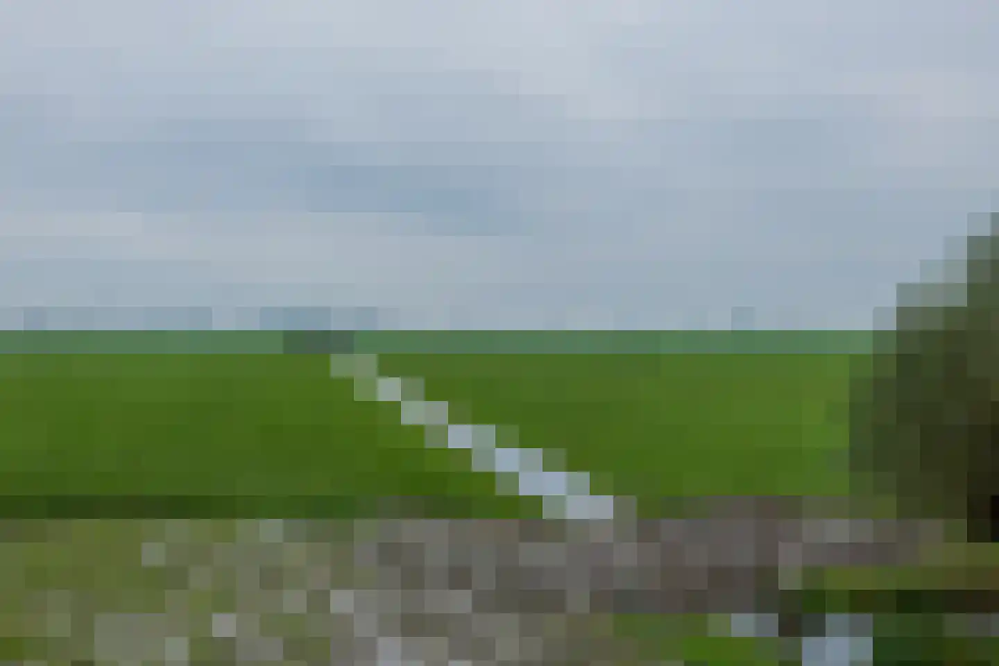 Woudevoirt 33 Zoeterwoude thumbnail 8