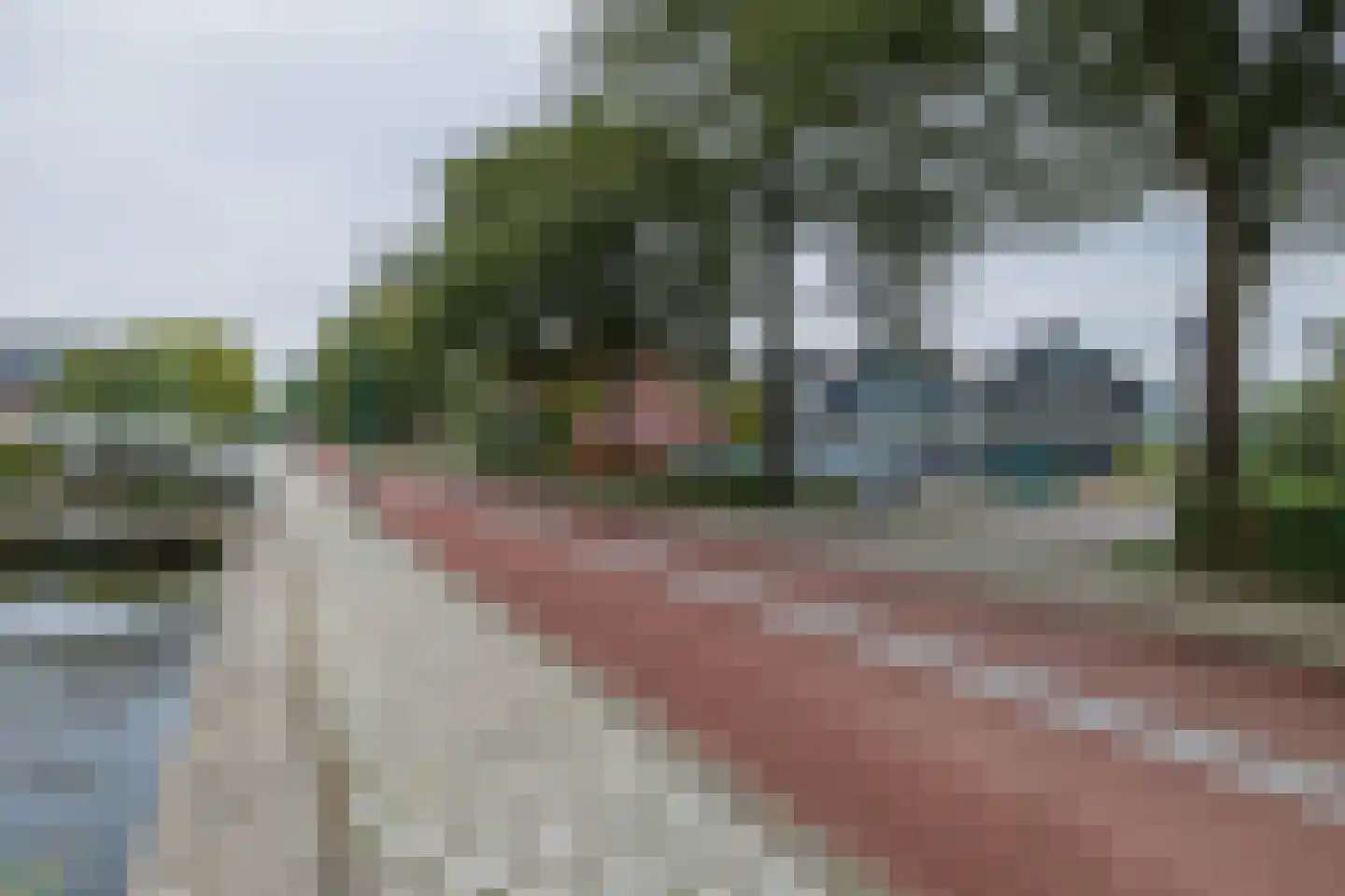 Woudevoirt 33 Zoeterwoude thumbnail 9