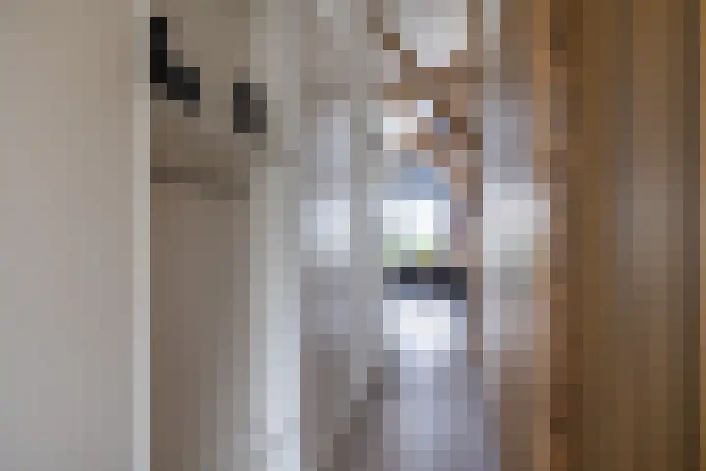 Woudevoirt 38 Zoeterwoude thumbnail 10