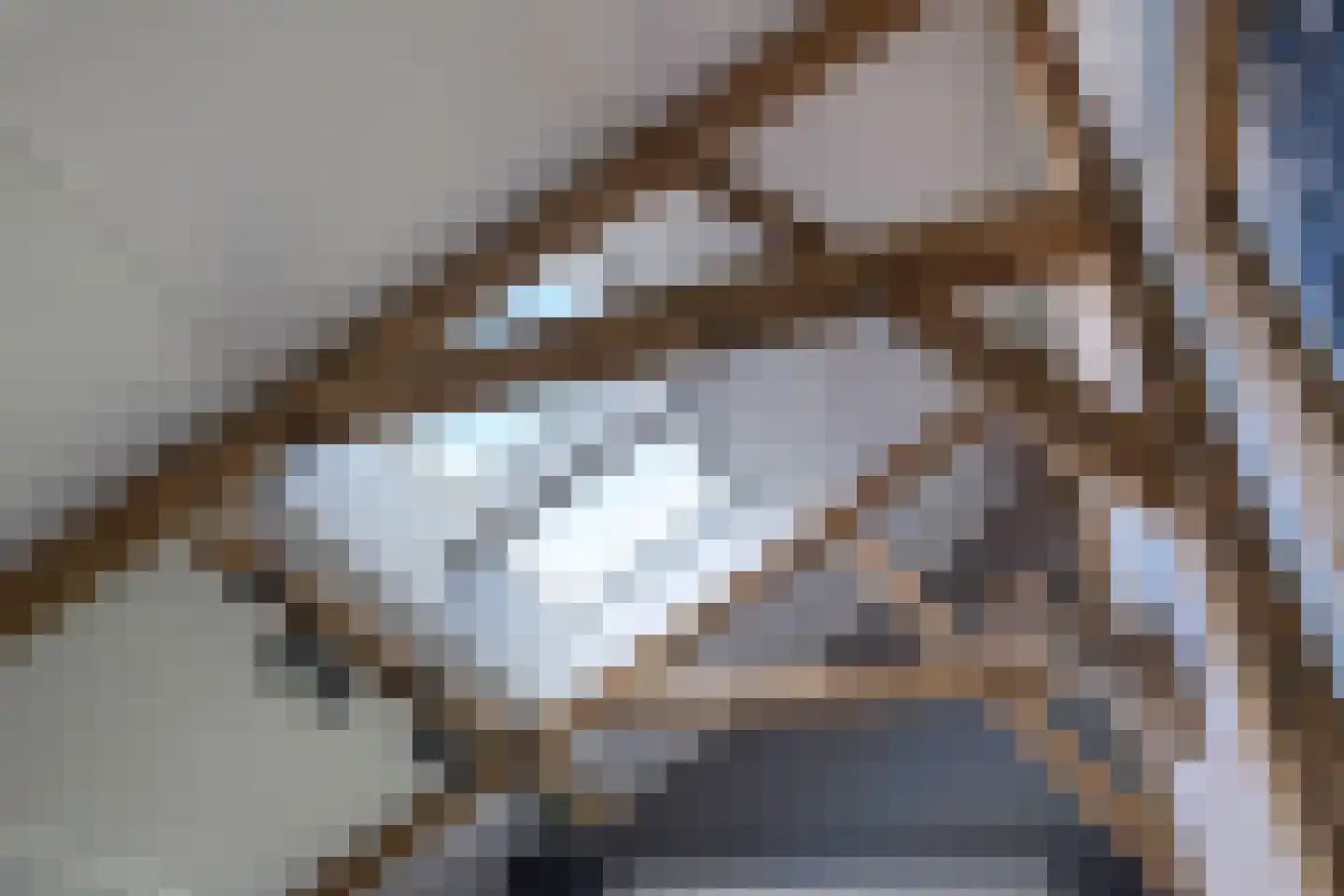 Woudevoirt 38 Zoeterwoude thumbnail 12