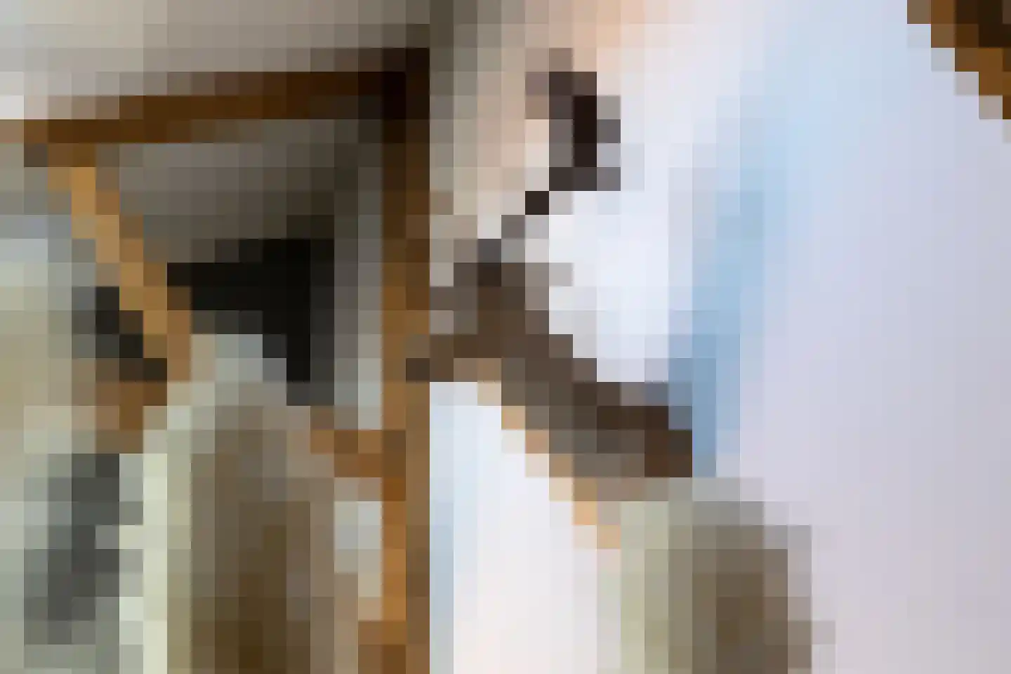 Woudevoirt 38 Zoeterwoude thumbnail 14