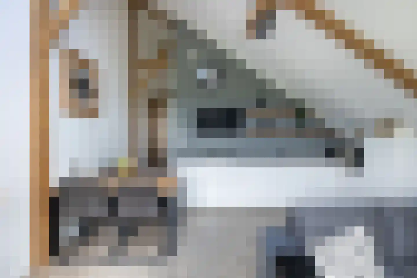 Woudevoirt 38 Zoeterwoude thumbnail 15