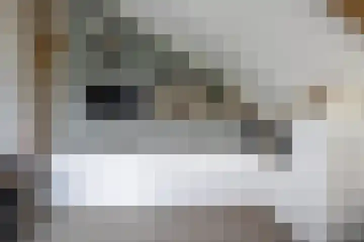 Woudevoirt 38 Zoeterwoude thumbnail 16