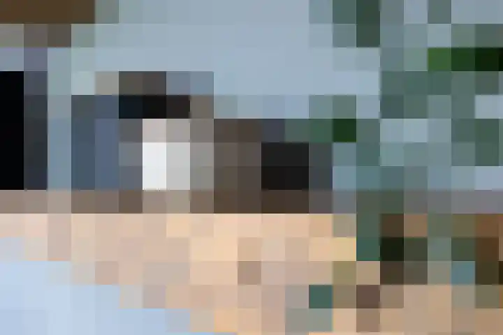 Woudevoirt 38 Zoeterwoude thumbnail 17