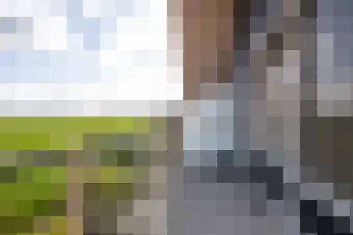 Woudevoirt 38 Zoeterwoude thumbnail 20