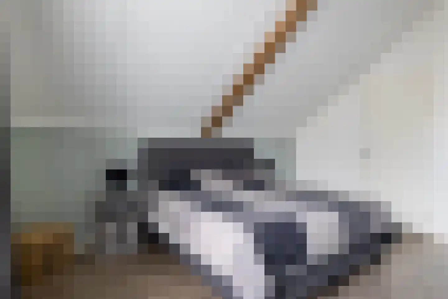 Woudevoirt 38 Zoeterwoude thumbnail 24