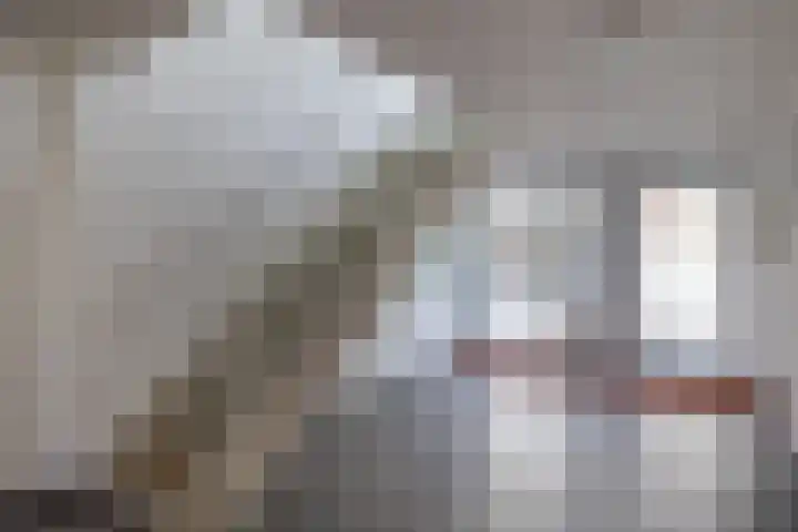Woudevoirt 38 Zoeterwoude thumbnail 30