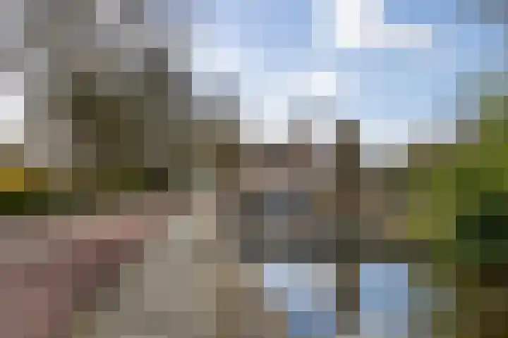 Woudevoirt 38 Zoeterwoude thumbnail 38