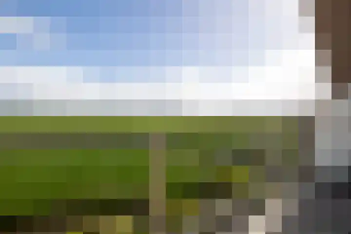 Woudevoirt 38 Zoeterwoude thumbnail 4