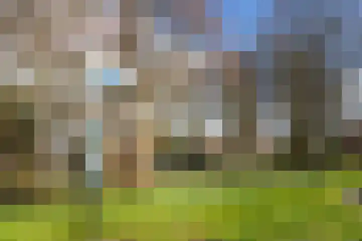 Woudevoirt 38 Zoeterwoude thumbnail 40