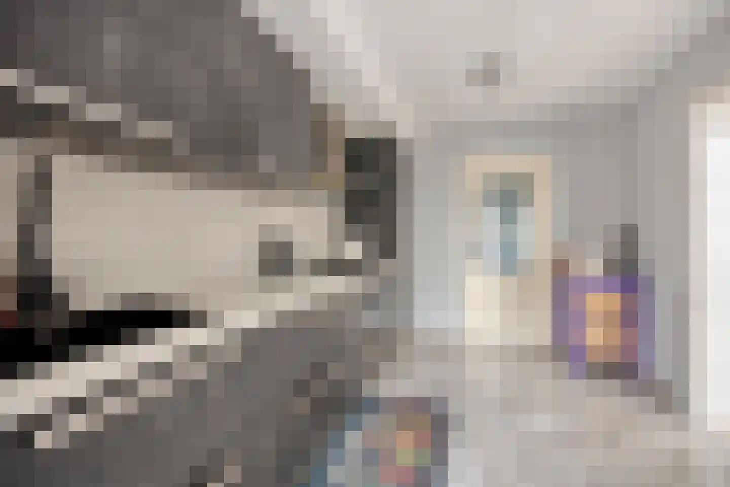 Woudhoek 10 Nibbixwoud thumbnail 13