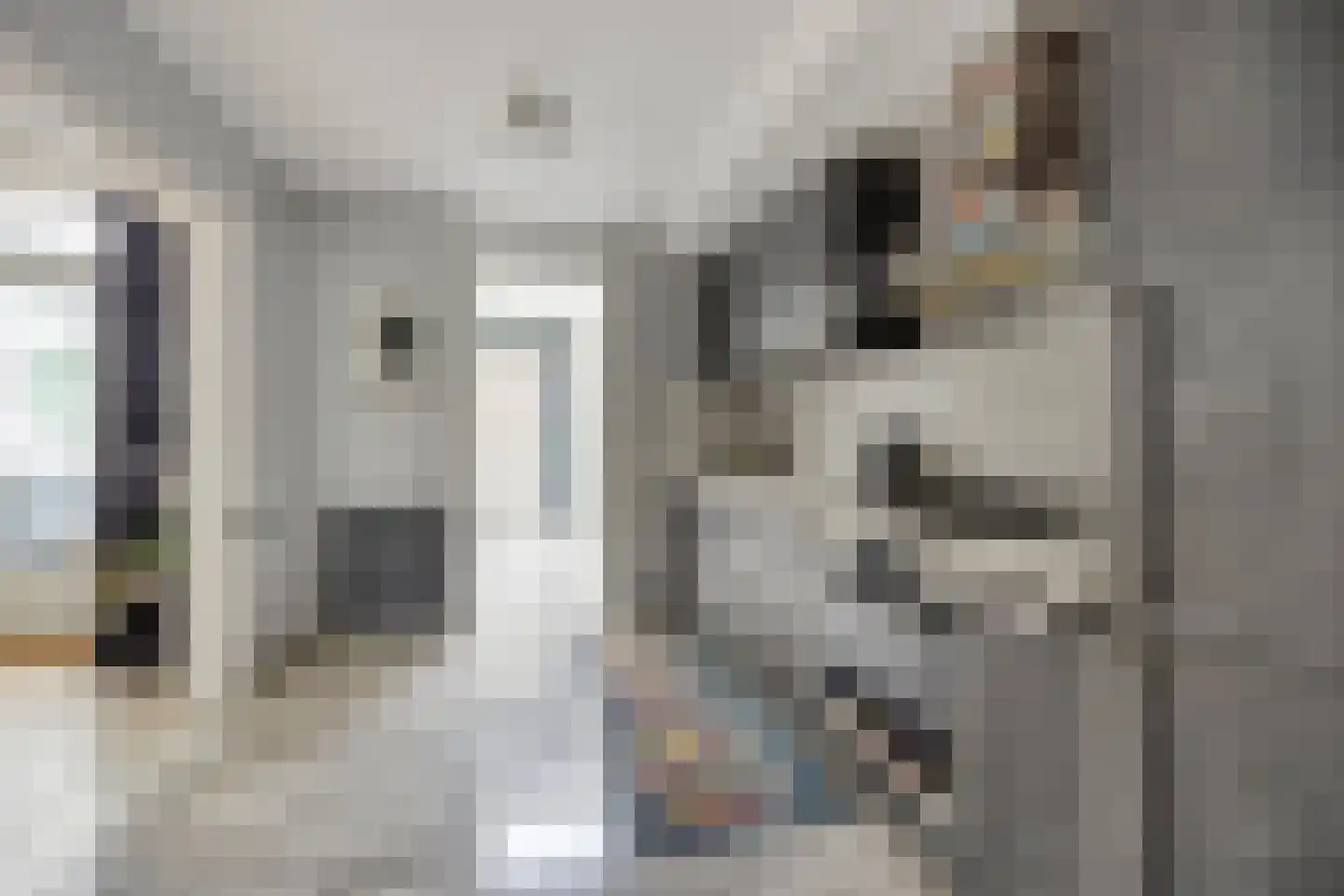 Woudhoek 10 Nibbixwoud thumbnail 14