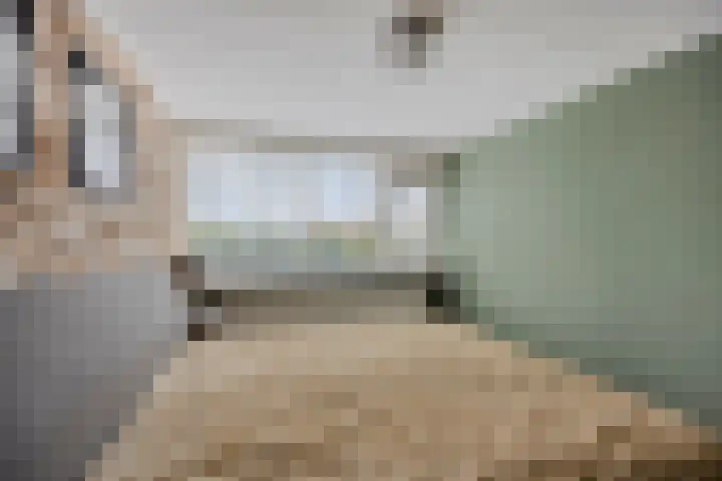 Woudhoek 10 Nibbixwoud thumbnail 19