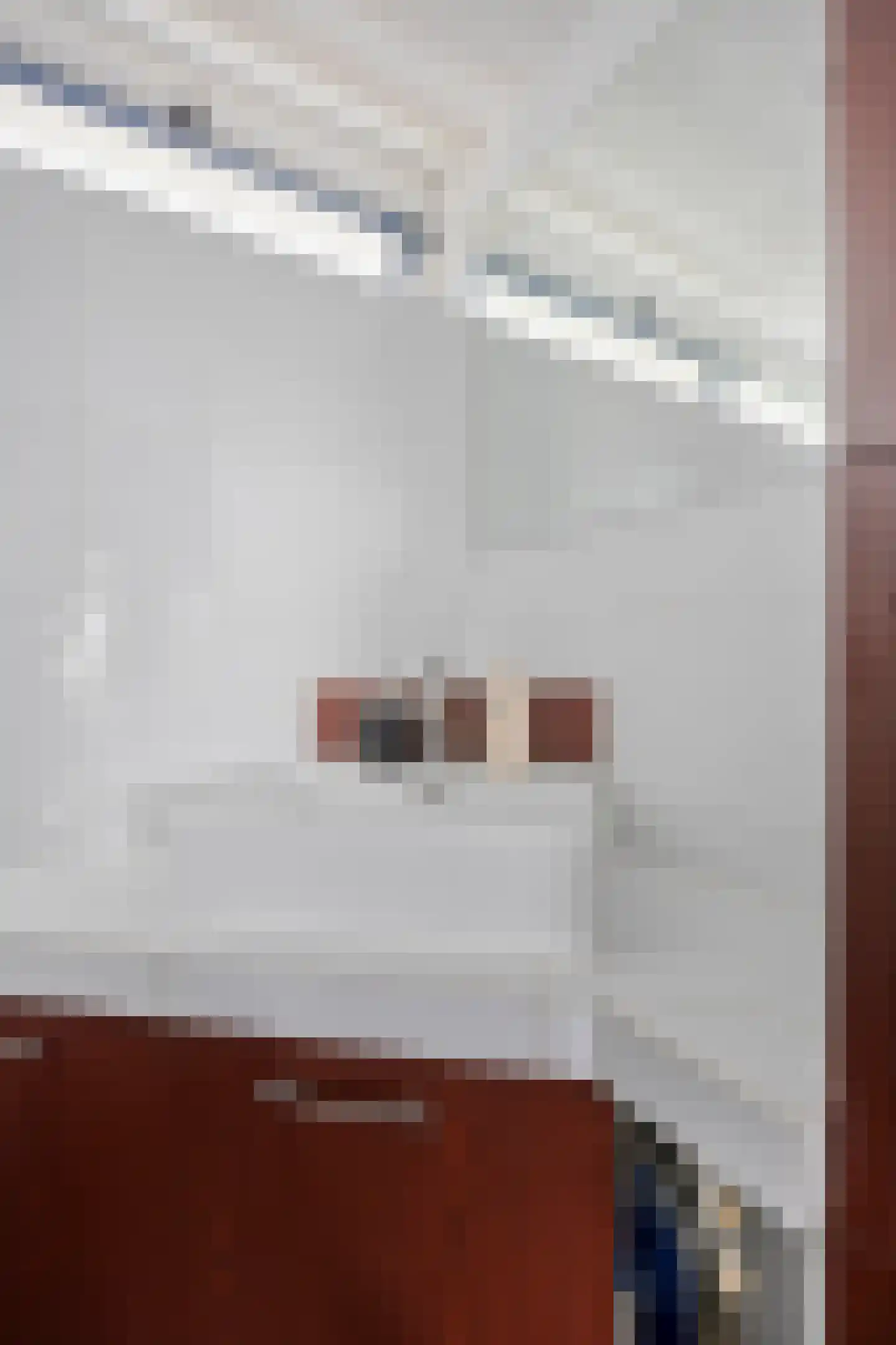 Woudhoek 10 Nibbixwoud thumbnail 22