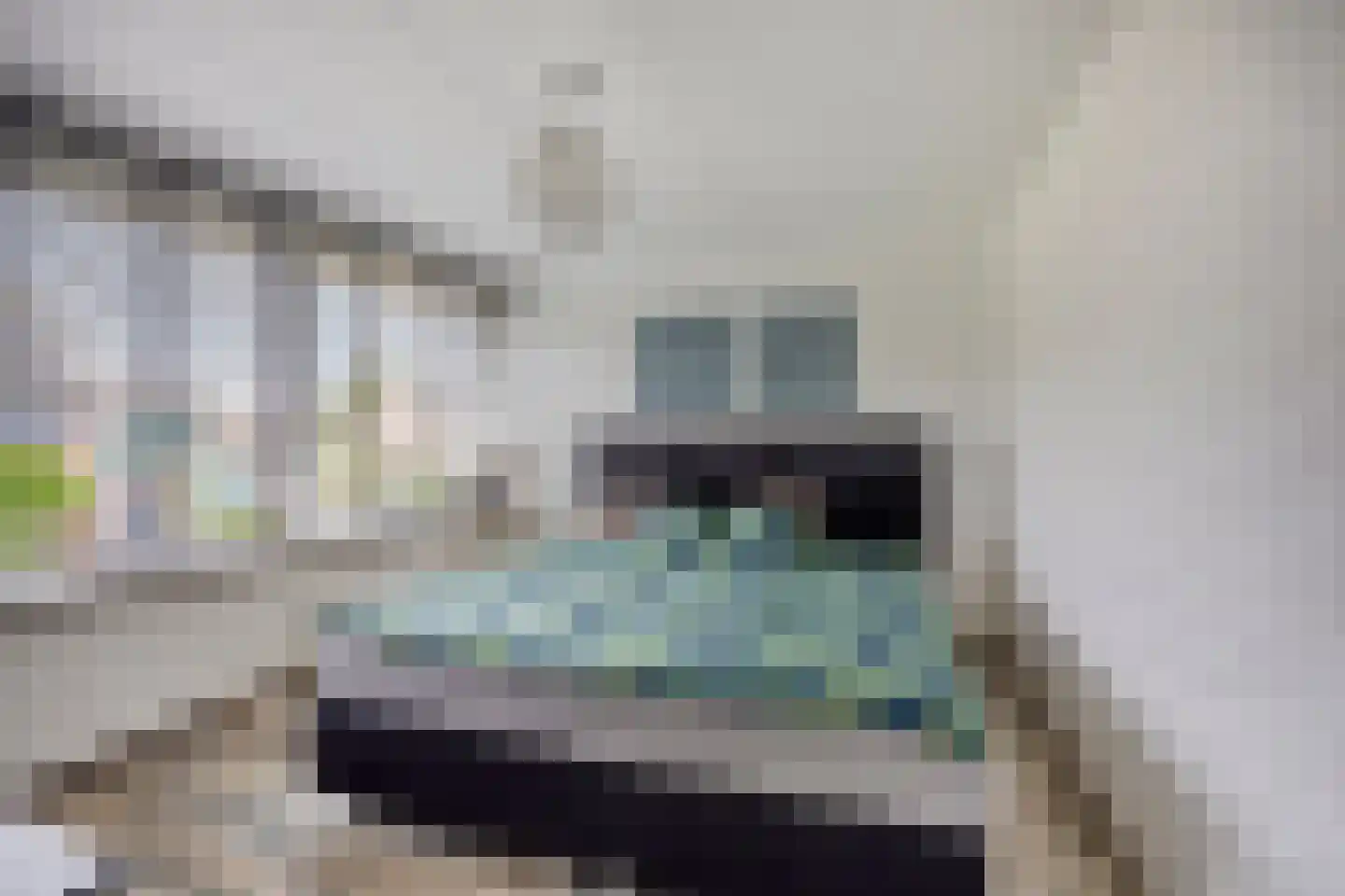 Woudhoek 10 Nibbixwoud thumbnail 24