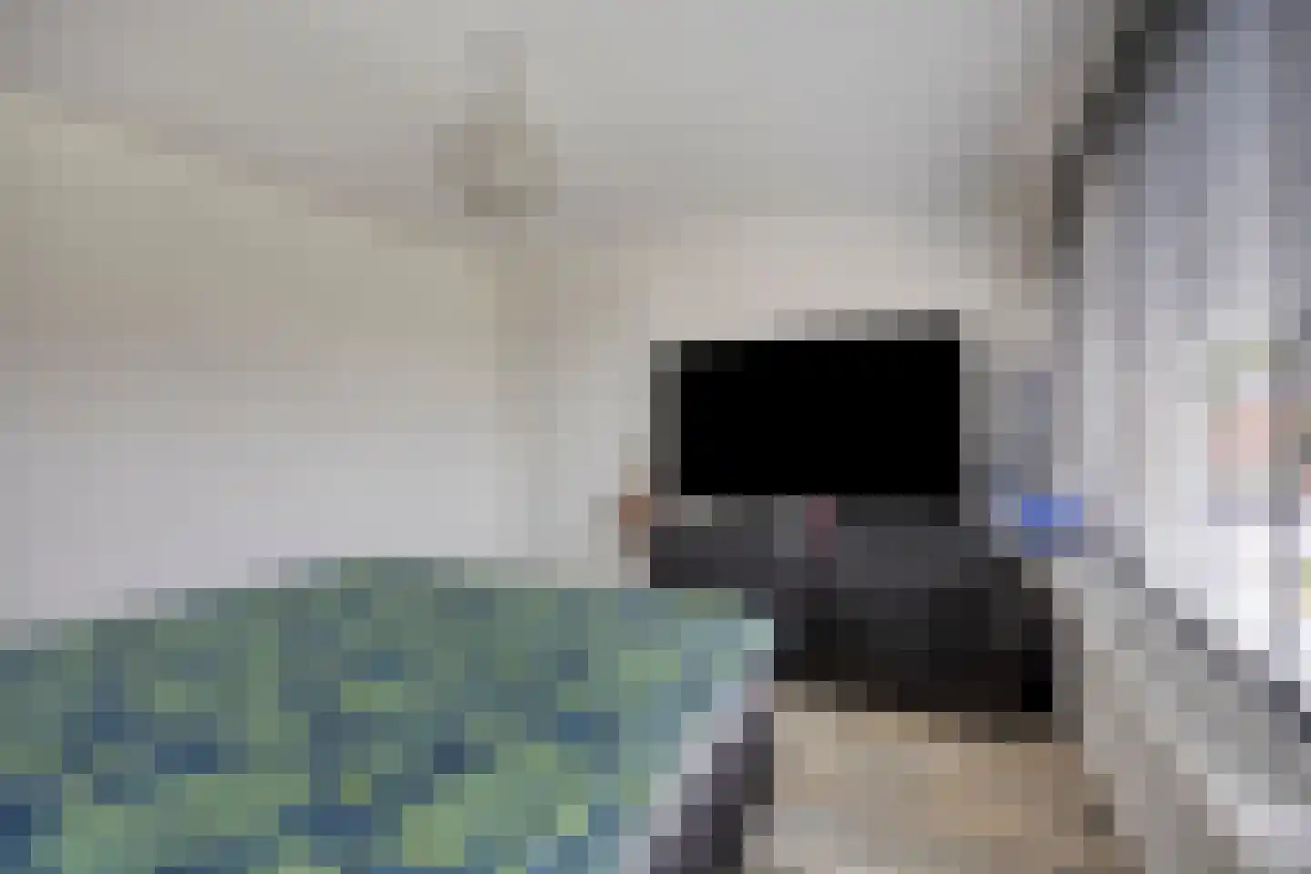 Woudhoek 10 Nibbixwoud thumbnail 25
