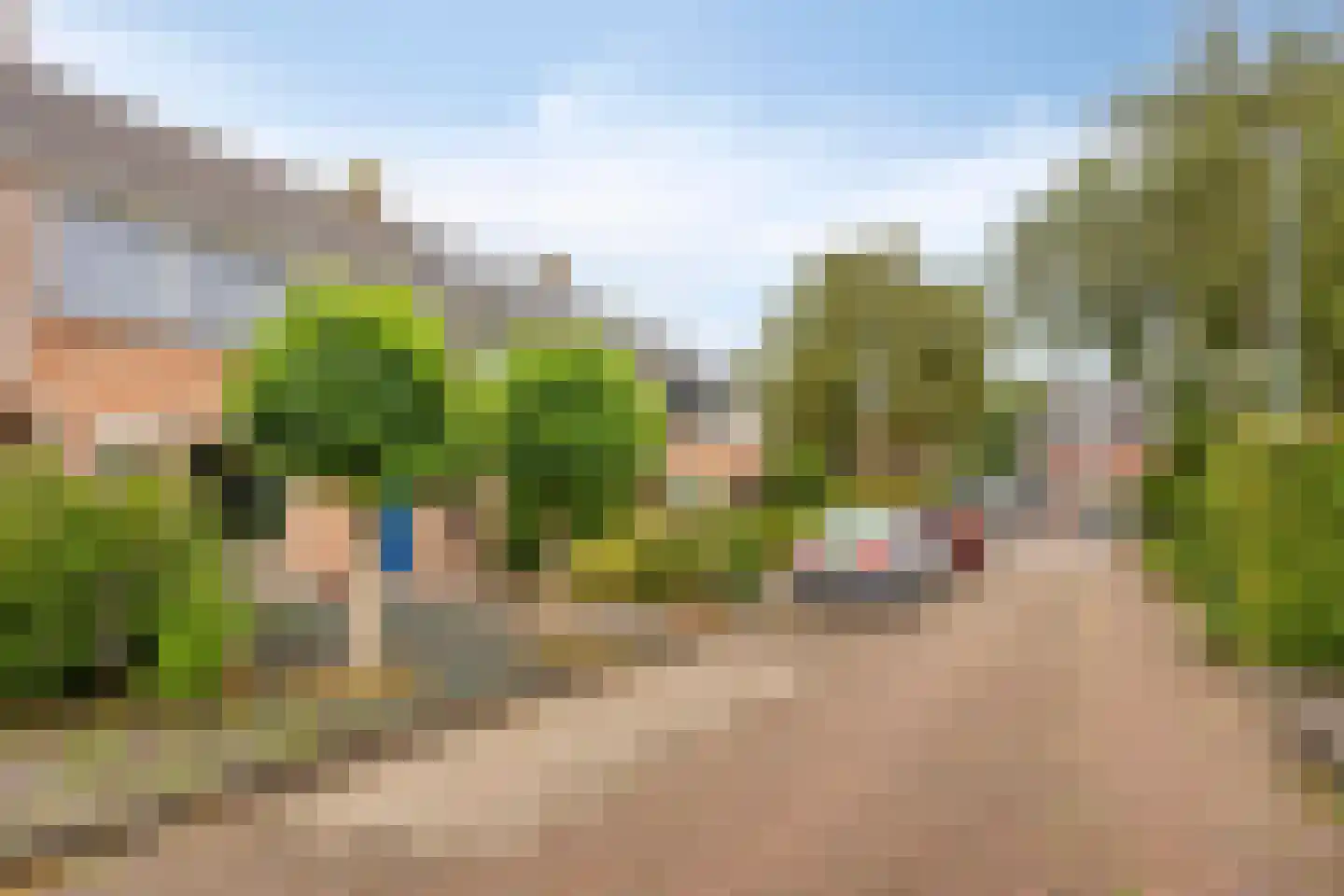 Woudhoek 10 Nibbixwoud thumbnail 31