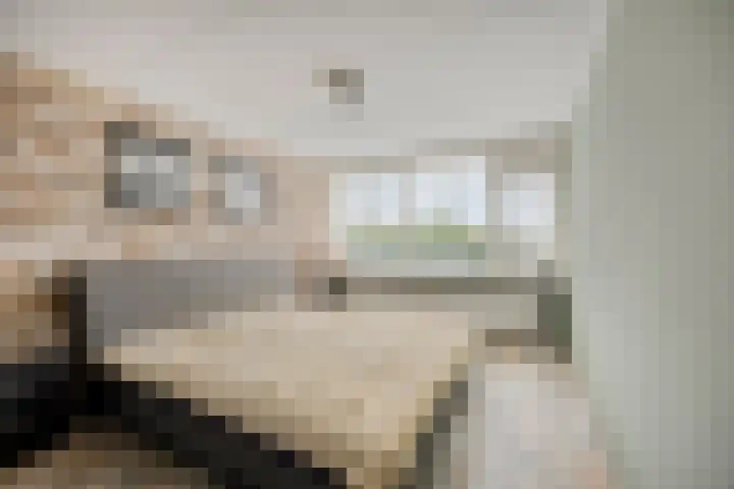 Woudhoek 10 Nibbixwoud thumbnail 5