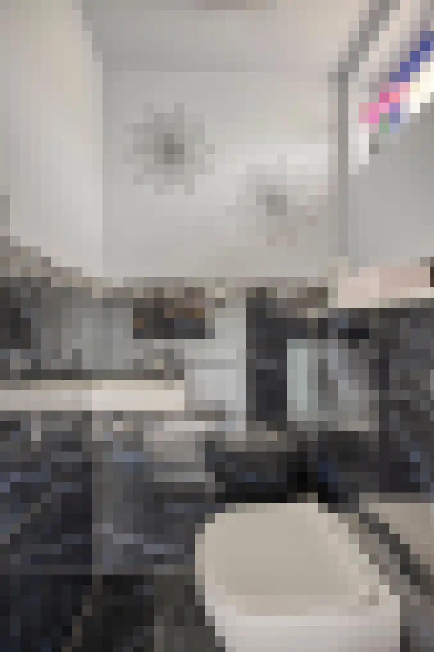 Woudhoek 10 Nibbixwoud thumbnail 7