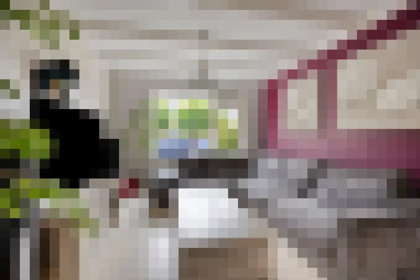 Woudhoek 10 Nibbixwoud thumbnail 9