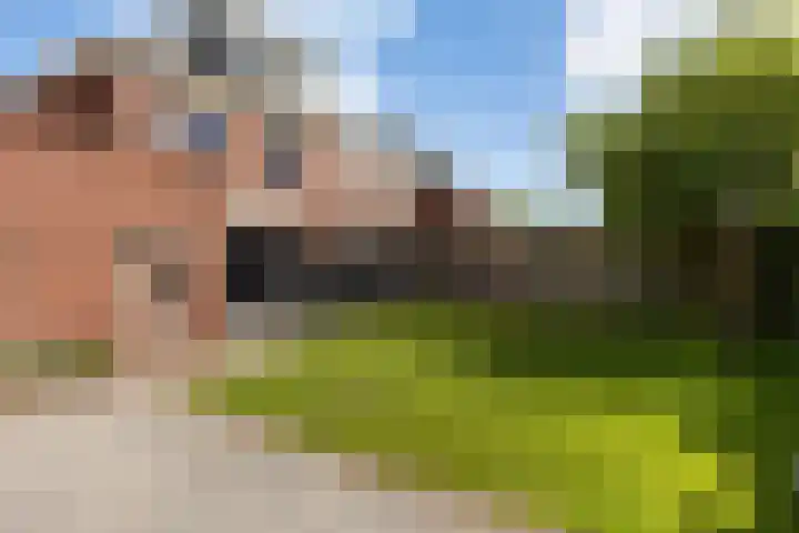 Woudhuizerallee 180 Apeldoorn thumbnail 12