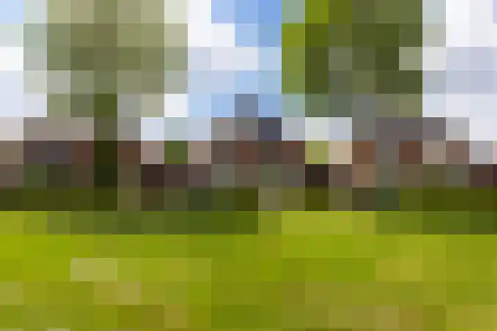 Woudhuizerallee 180 Apeldoorn thumbnail 39