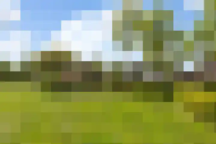 Woudhuizerallee 180 Apeldoorn thumbnail 40