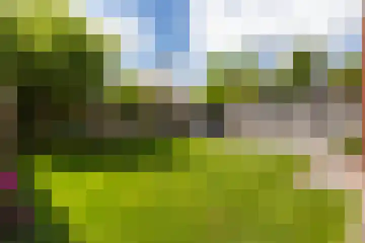 Woudhuizerallee 180 Apeldoorn thumbnail 9