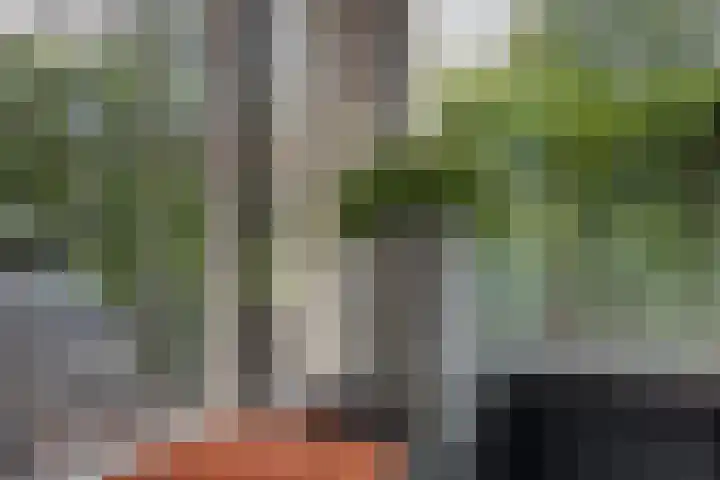 Woudhuizerallee 197 Apeldoorn thumbnail 21