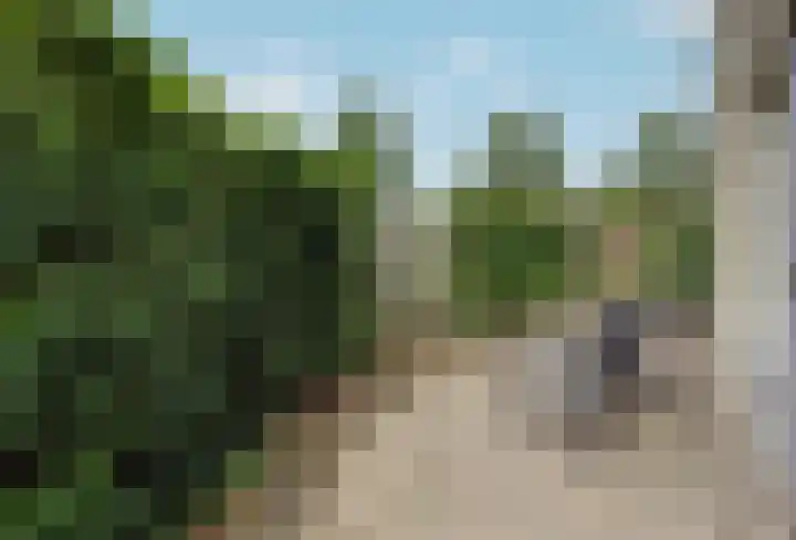 Woudhuizerallee 197 Apeldoorn thumbnail 30