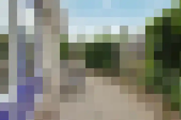 Woudhuizerallee 197 Apeldoorn thumbnail 31