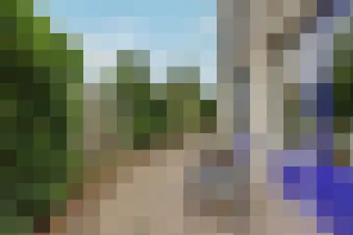 Woudhuizerallee 197 Apeldoorn thumbnail 32