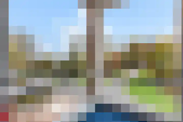 Woudhuizerallee 198 Apeldoorn thumbnail 7