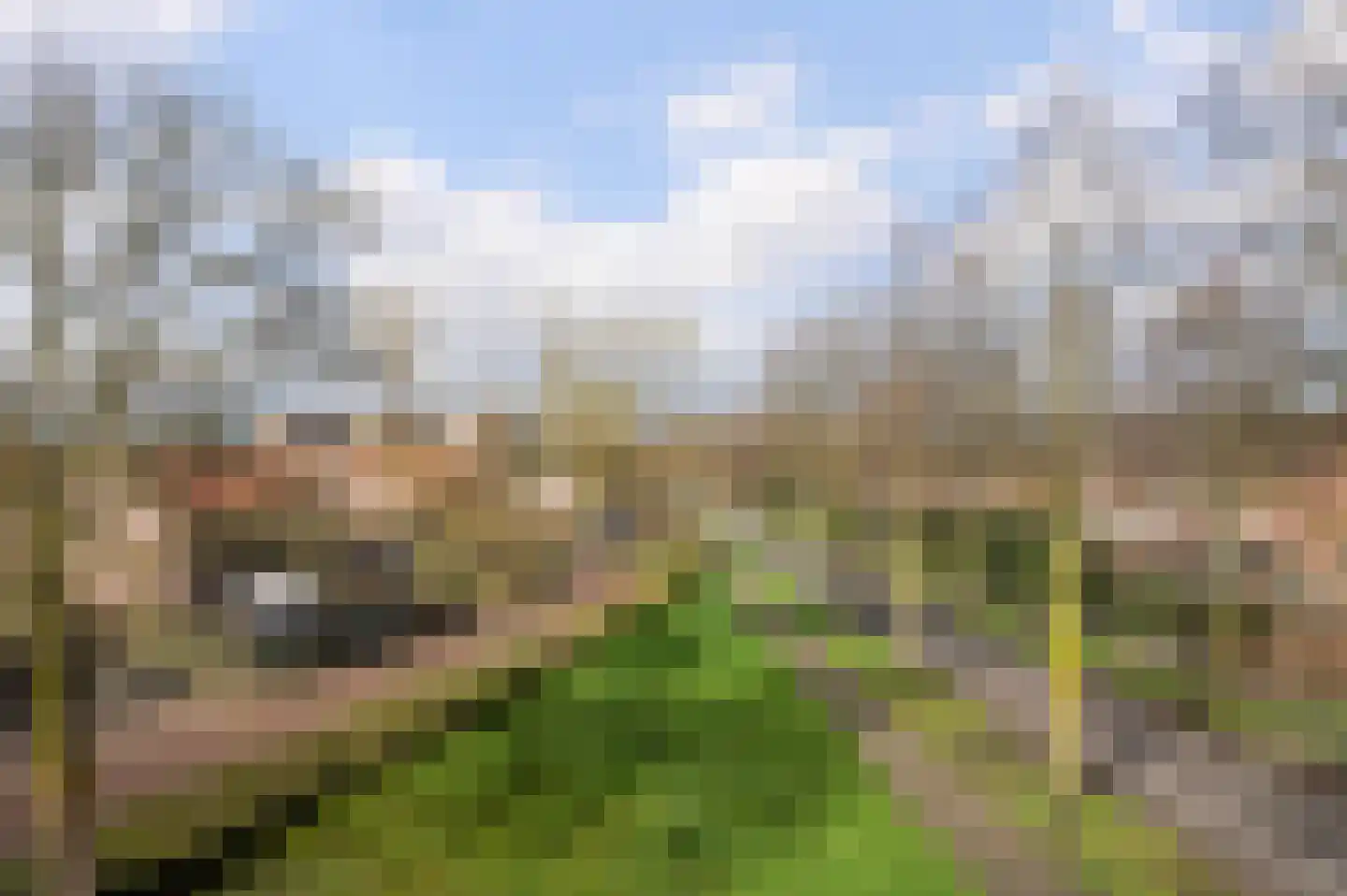Woudhuizerallee 28 Apeldoorn thumbnail 41