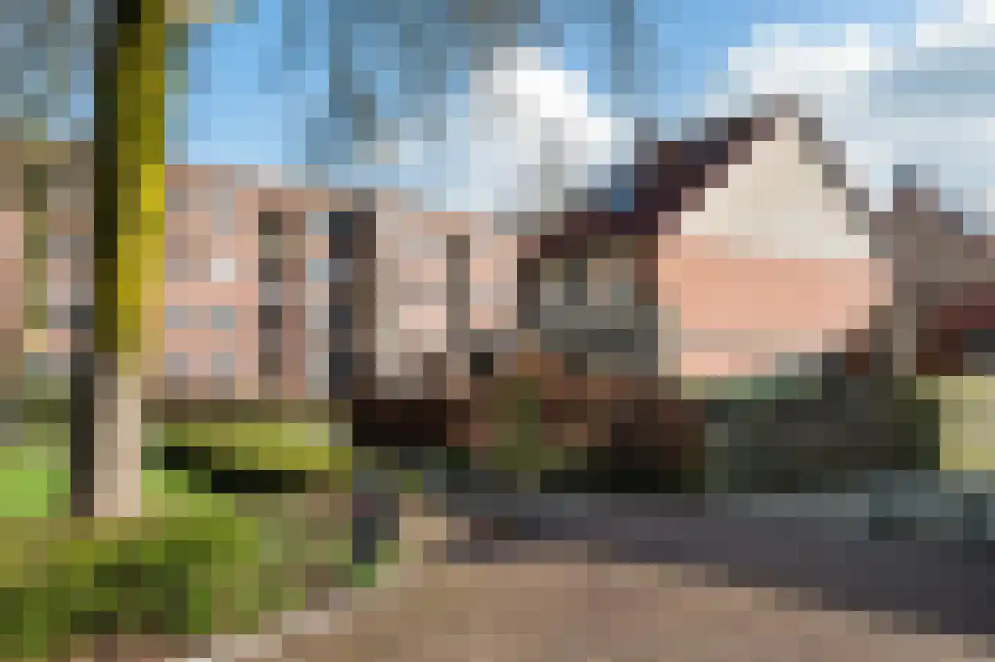 Woudhuizerallee 28 Apeldoorn thumbnail 42