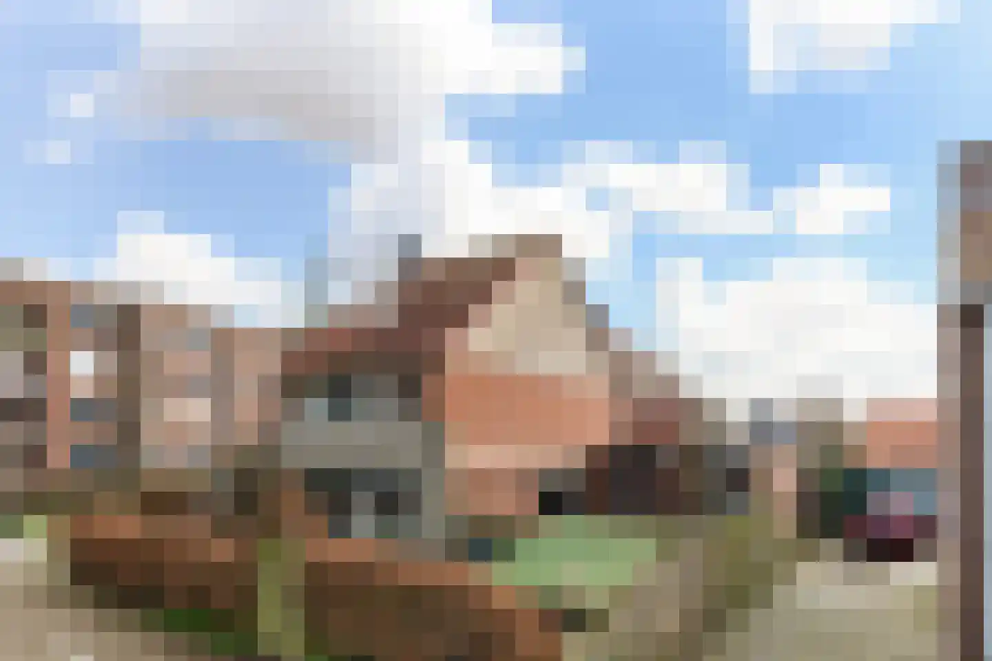 Woudhuizerallee 28 Apeldoorn thumbnail 6