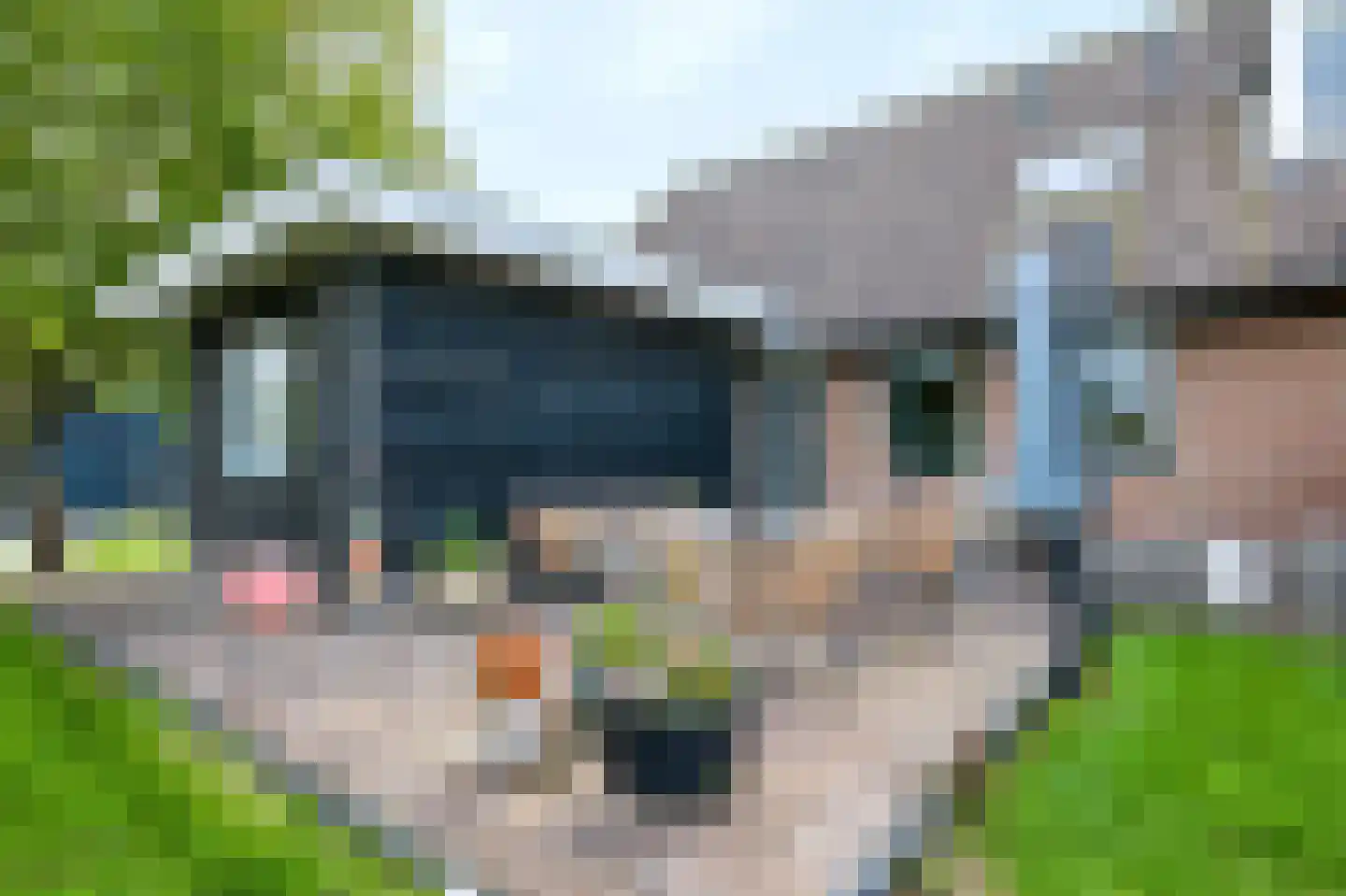 Woudhuizerweg 59 Apeldoorn thumbnail 60