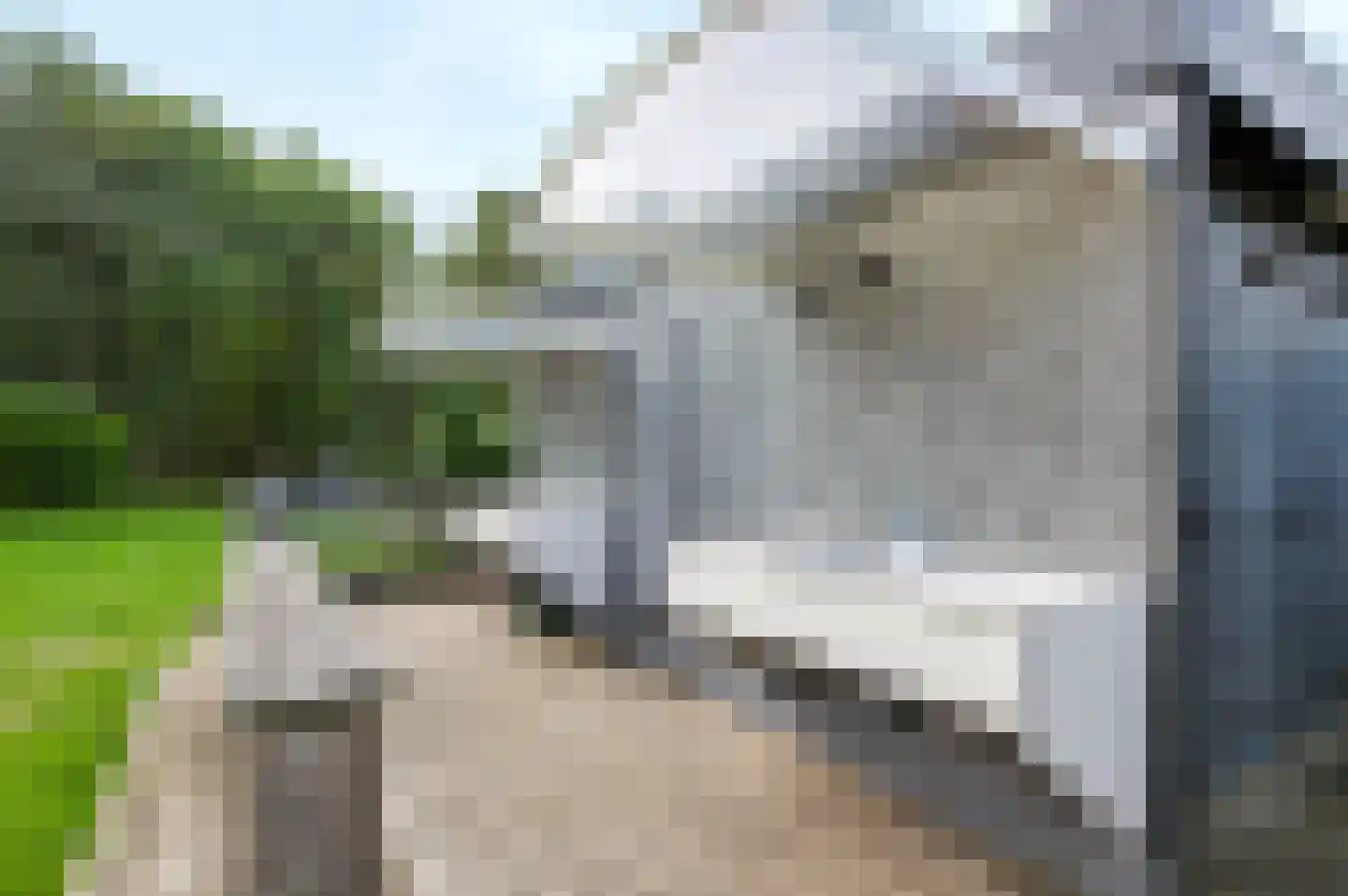 Woudhuizerweg 59 Apeldoorn thumbnail 77