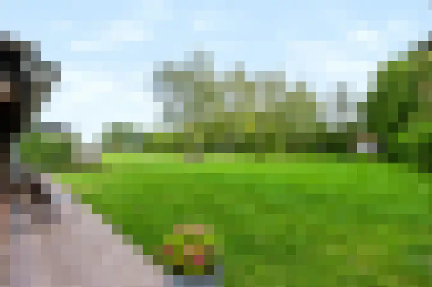 Woudhuizerweg 59 Apeldoorn thumbnail 79